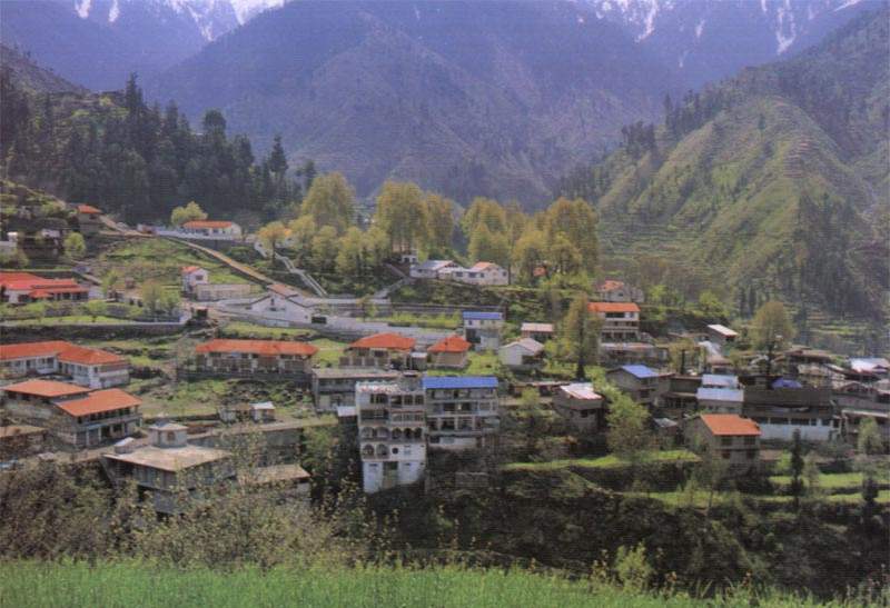 hasanpic.jpg